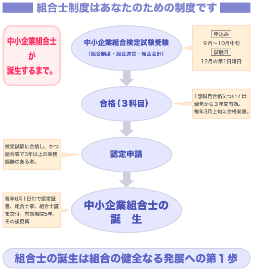 「中小企業組合士が誕生するまで」解説図