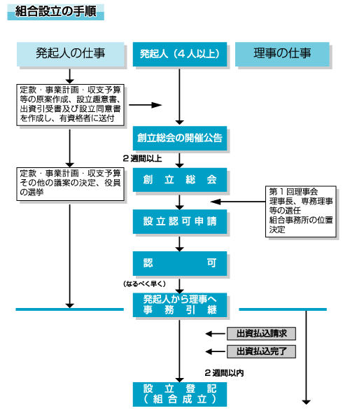 設立フロー図